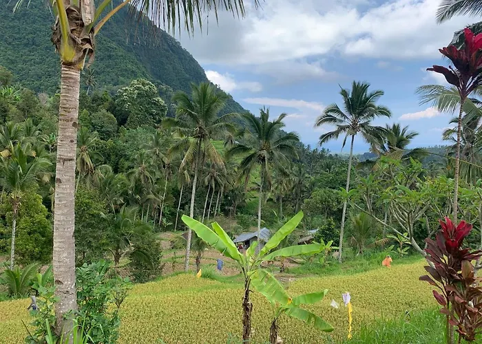 Bulian Séjour chez l'habitant Kubutambahan (Bali)